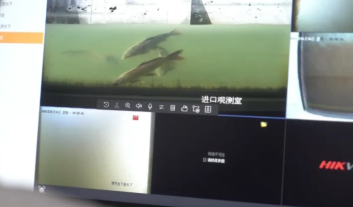 4图为鱼类洄游实时监控画面_副本 4图为鱼类洄游实时监控画面_副本